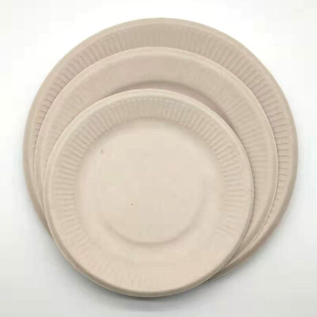 Pure Pulp Disposable Paper Plates