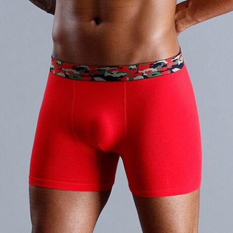 Men's Boxer Shorts & Briefs - Image 4