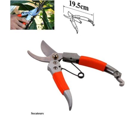 Mini Bonsai Tools Gardening Hand Tools Kit with Tote Bag Elbow Branch Nail Rake Spade Spraying Pot for Gardeners - Image 4